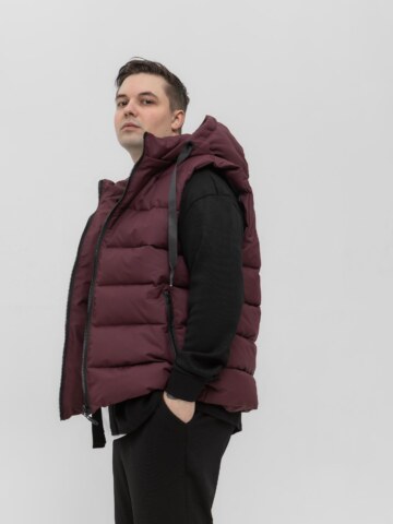 Купить Жилет мужской Sane Bordeaux Hood
